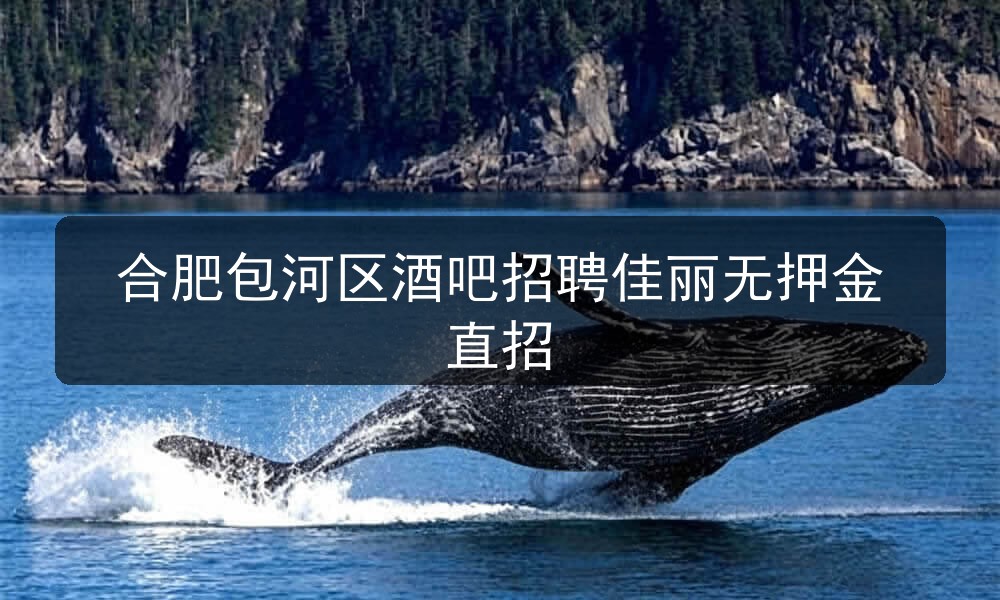 合肥包河区酒吧招聘佳丽无押金直招