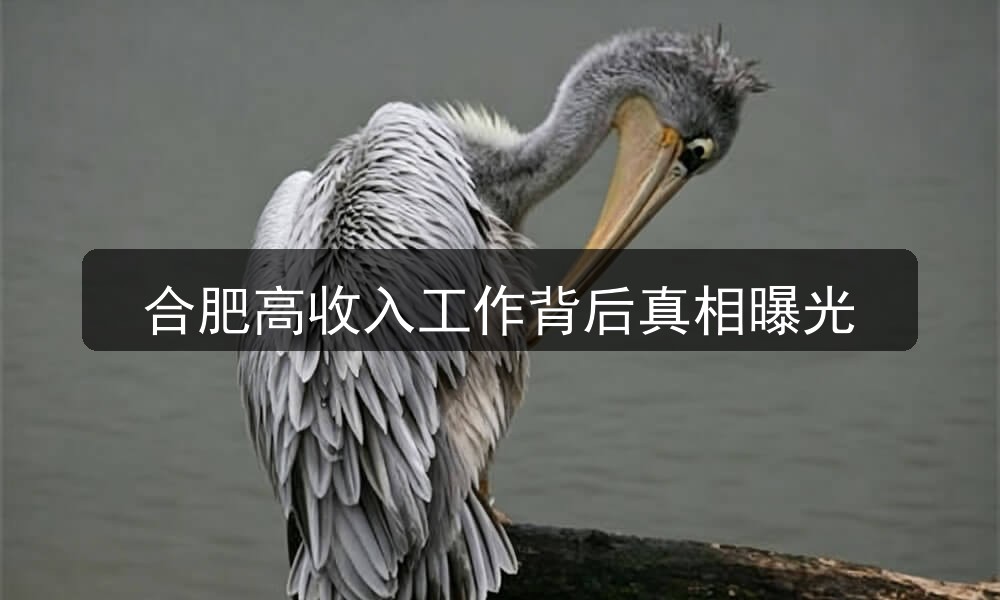 合肥高收入工作背后真相曝光