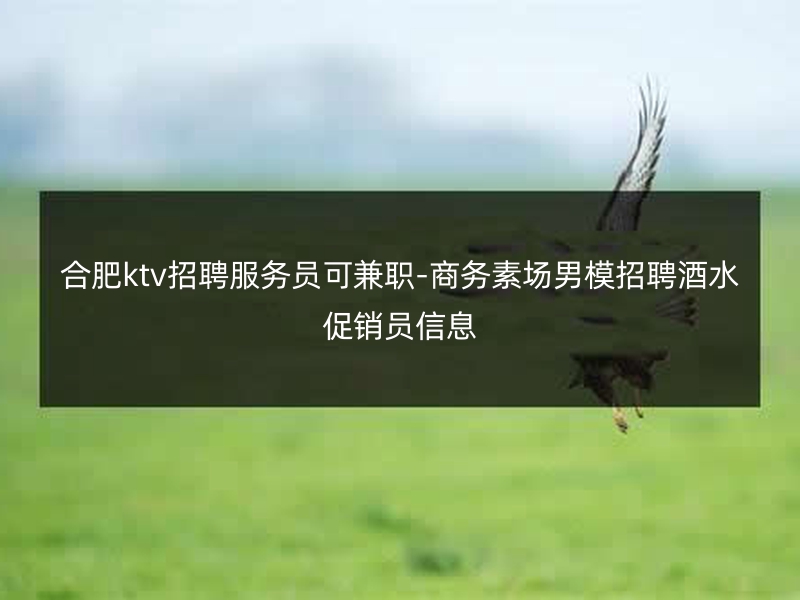 合肥ktv招聘服务员可兼职-商务素场男模招聘酒水促销员信息